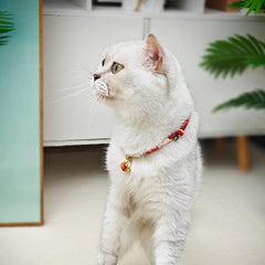 PetsMeow boucle breakaway et clochette visibles garantissant sécurité pratique