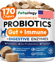 Petsology boîte avant montrant 170 chews pour une digestion équilibrée