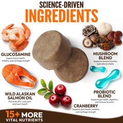 Petsology taille de la croquette dans une main utile pour dosage
