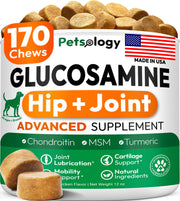 Petsology emballage avant montrant 170 friandises, bénéfice confiance qualité