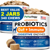 Petsology emballage avant montrant le pot et le nombre de chews, soutien digestif clair