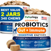 Petsology emballage avant montrant le pot et le nombre de chews, soutien digestif clair