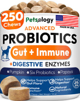 Petsology emballage avant montrant 250 friandises et bénéfice confiance qualité