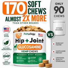 Petsology mastic gros plan montrant texture appétente et soutien articulaire
