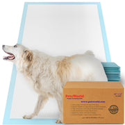 PETSWORLD packaging avant montrant le lot de 25 et l'usage pratique