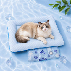 PetTemp lit face avant montrant coussin épais et confort instantané