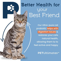 PetUltimates poudre gros plan montrant texture fine pour un mélange homogène