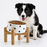 Petygooing bol face avant élégant et stable, design incliné pour confort