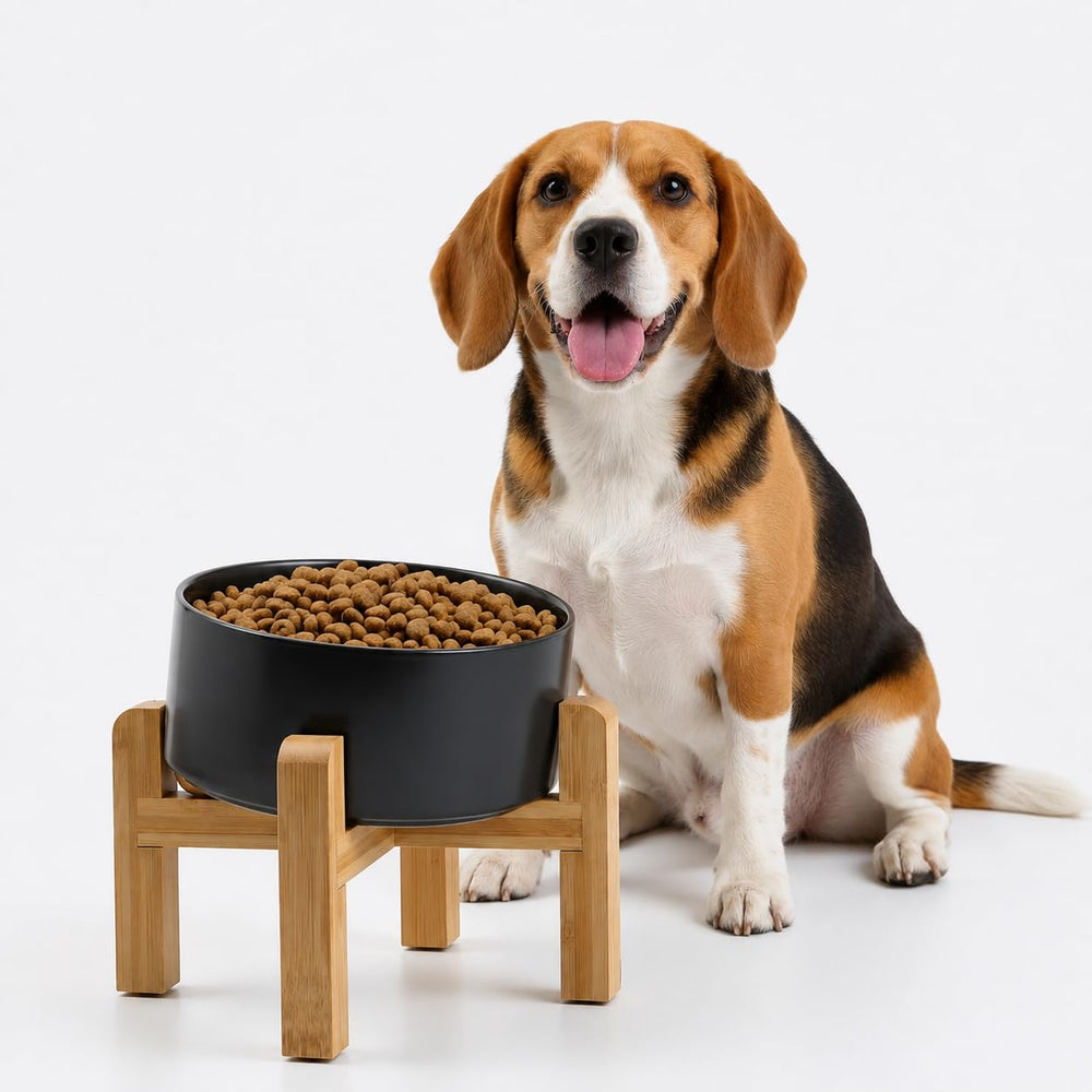 Petygooing bol face en céramique noire, design stable et élégant