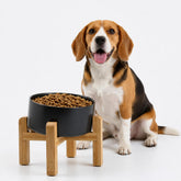 Petygooing bol face en céramique noire, design stable et élégant