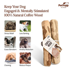 PetYupp gros plan texture bois dense pour mastication durable