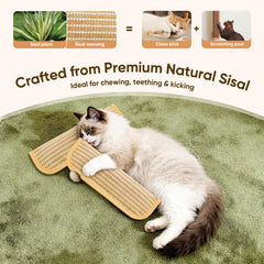 PetZen Garden comparaison taille montrant échelle pratique pour jeu et masticage