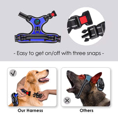 PHOEPET détail du matériau réfléchissant pour meilleure visibilité