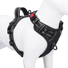 PHOEPET harnais vue avant sur emballage, facilite l'identification rapide