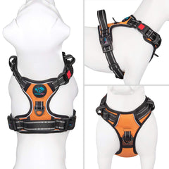 PHOEPET harnais boucles verrouillables facilitant mise en place rapide