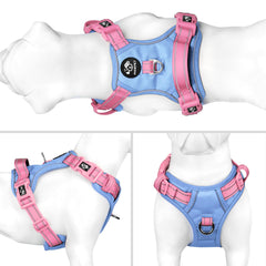 PHOEPET gros plan sur rembourrage en mousse pour confort prolongé