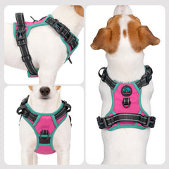 PHOEPET harnais dos avec poignée pour contrôle rapproché