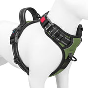 PHOEPET harnais vue avant montrant boucles et ajustements pour sécurité