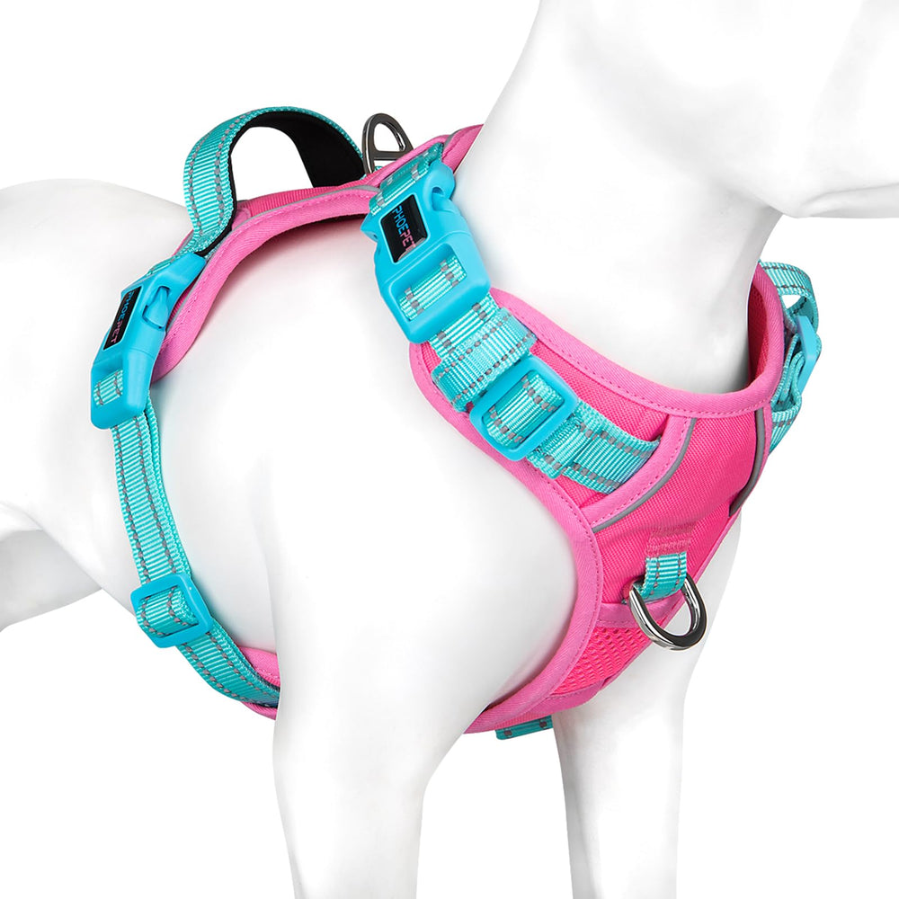 PHOEPET harnais face avant montrant design et fermeture rapide pour gain de temps