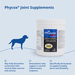 PhyCox bouchées dans la main montrant petite taille et praticité