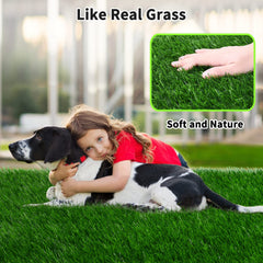 PICK FOR LIFE chien utilisant le tapis montrant facilité d'entraînement