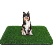PICK FOR LIFE vue frontale du tapis montrant forme et bordures utiles