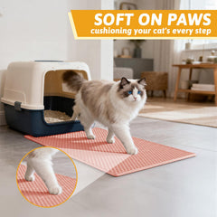 Pieviev chat marchant sur le tapis, confort pour les pattes sensibles