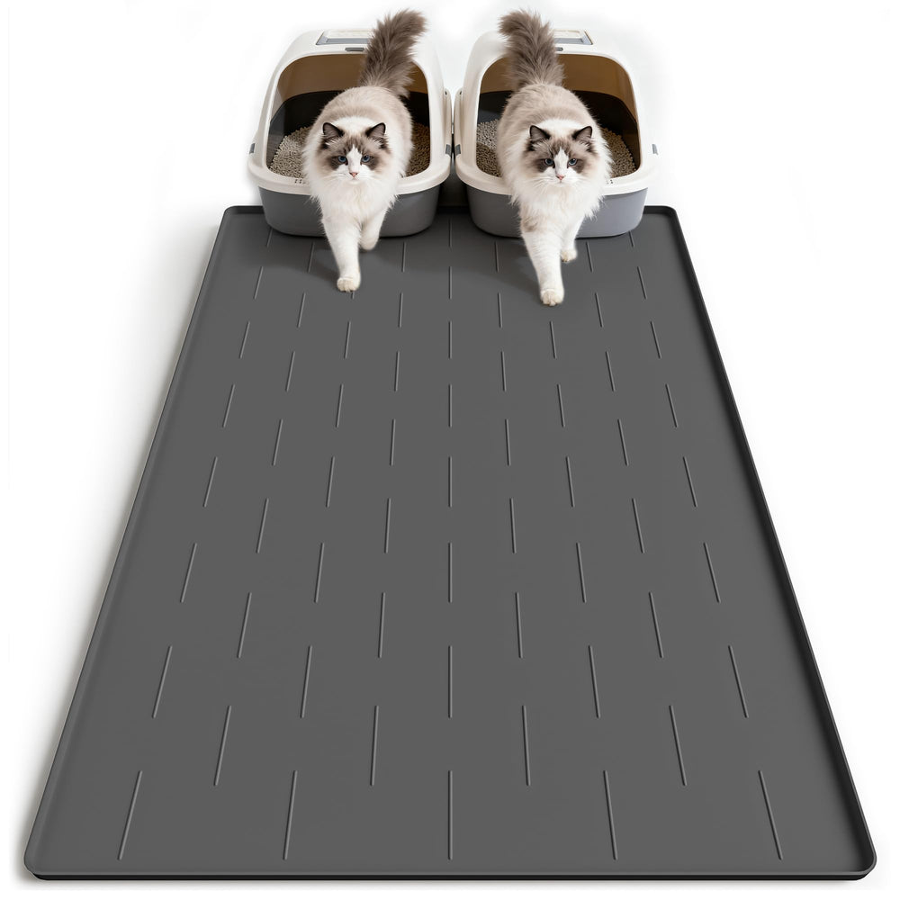Pieviev tapis posé à plat montrant sa grande surface et protection du sol