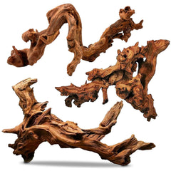 PINVNBY bois flotté face montrant forme distincte pour décor naturel