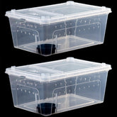 PINVNBY vue avant de la cage transparente pour observation facile