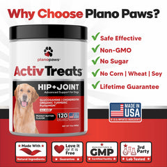 planopaws chew tenu dans la main pour montrer taille pratique et dosage visuel