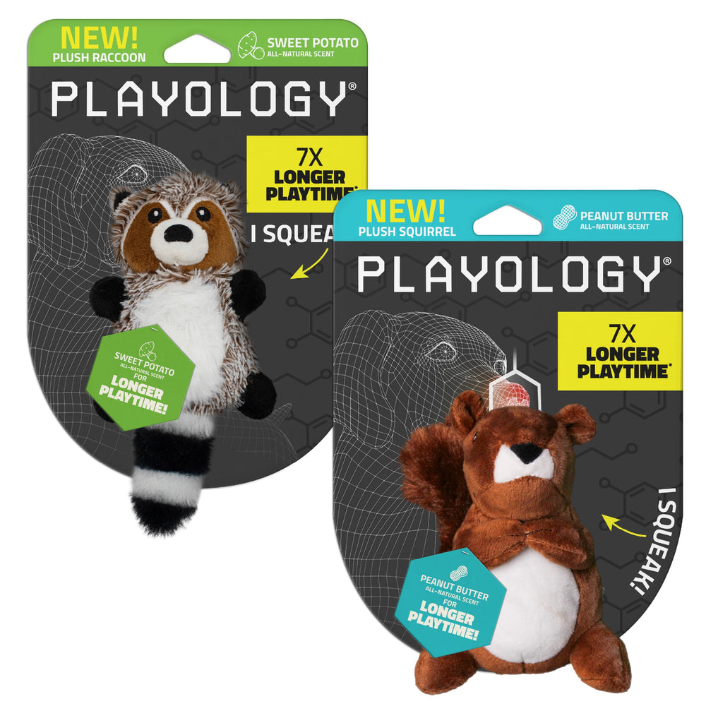 Playology peluche raton-laveur vue avant montrant le couineur et l'apparence mignonne
