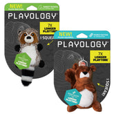Playology peluche raton-laveur vue avant montrant le couineur et l'apparence mignonne