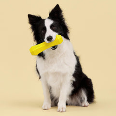 Playology Squeaky Chew Stick flottant dans l'eau pour jeux aquatiques