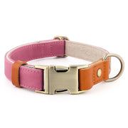 PLUTUS PET collier face avant élégant et confortable pour promenades