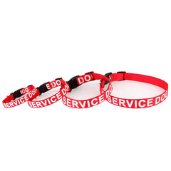 Plutus Pet boucle et D-ring acier pour attacher laisse et sécurité