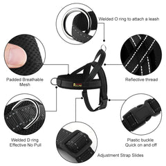PLUTUS PET dos du harnais montrant l’O-ring pour promenades détendues