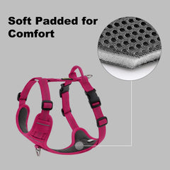 PLUTUS PET anneaux en métal double pour promenade et entraînement