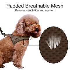 Plutus Pet clip frontal D-ring pour contrôle anti-traction sûr
