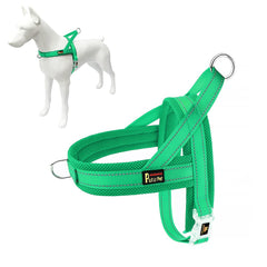 PLUTUS PET vue avant du harnais montrant fixation frontale pour meilleur contrôle