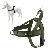 Plutus Pet harnais face avant montrant coupe et ajustement confortable
