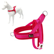 PLUTUS PET harnais face montrant ajustement et confort