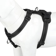 PLUTUS PET harnais vu de face offrant contrôle et confort