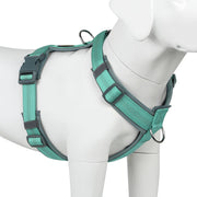 Plutus Pet harnais vue de face montrant ajustement et confort