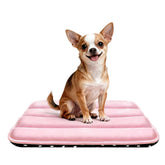 pobopobo vue de face du tapis de cage offrant confort et style