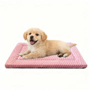 pobopobo tapis face avant montrant confort et design adapté