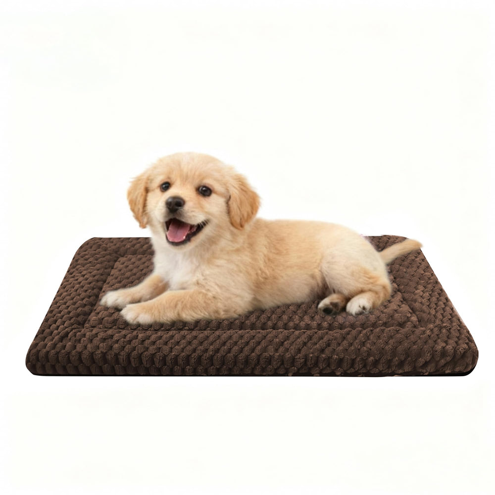 pobopobo face peluche montrant douceur et confort