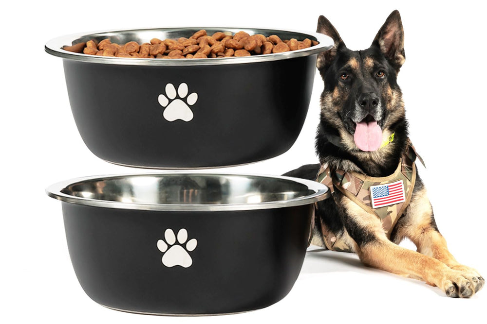 Podinor gamelle avant paquet montrant la forme et la couleur noire, durable pour grands chiens