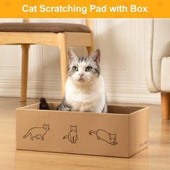 Poils bebe chat utilisant le griffoir courbé pour confort et jeu