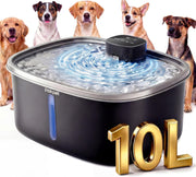 Pokpet fontaine face avant en acier inoxydable, design hygiénique